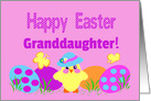 Granddaughter Easter Baby Chick with Colorful Painted Eggs card