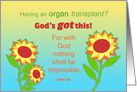 Get Well Feel Better Organ Transplant Surgery Sunflowers Bible Quote card