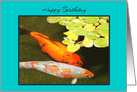 Son Birthday Beautiful Colourful Lucky Koi Fish card