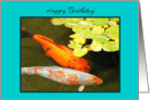 Son in Law Birthday Beautiful Colourful Koii Fish card