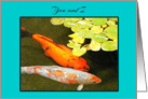 Boyfriend Birthday Beautiful Colourful Lucky Koi Fish card