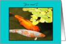 Husband Birthday-Koi Fish-Orange,Yellow,Blue card