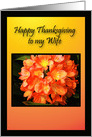 Wife Happy Thanksgiving, Beautiful Golden Orange Flower Card