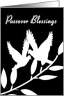 Passover Holiday Black and White Dove Silhouettes Card