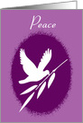 Peace Easter White Dove with Olive Branch card