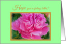 Cancer Hope Get Well Beautiful Pink Peony Flower card