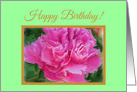 General Happy Birthday Beautiful Pink Peony Flower card