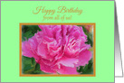 Happy Birthday from All Beautiful Pink Peony Flower card