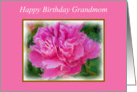 Grandmom 50th Happy Birthday Beautiful Feminine Pink Peony Flower card