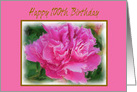 Happy 100th Birthday Beautiful Feminine Pink Peony Flower card