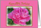 Birthday Age Specific 85th Beautiful Feminine Pink Peony Flower card