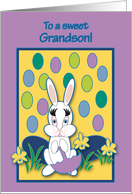 Grandson Easter Raining Jelly Beans Bunny card