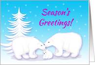Christmas Season’s Greetings Snuggling Polar Bears in Snow card