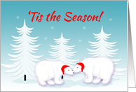 Christmas Humor ’Tis the Season Snuggling Polar Bears in Snow card