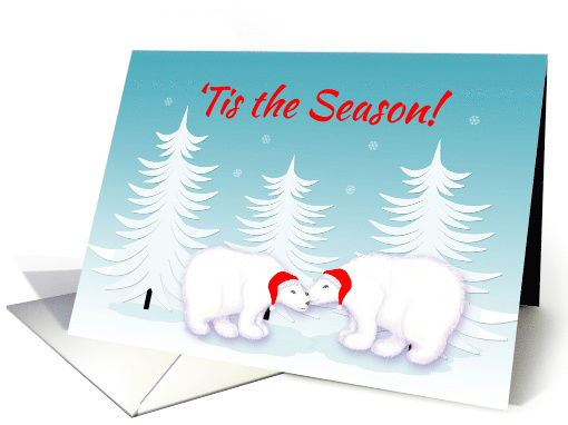 Christmas Humor 'Tis the Season Snuggling Polar Bears in Snow card