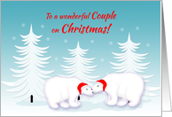 Gay Couple Christmas Humor Snuggling Polar Bears in Snow card