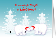 Lesbian Couple Christmas Humor Snuggling Polar Bears in Snow card