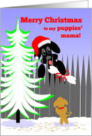 Christmas for Dog’s Puppies’ Mama Dog Santa with Bone card
