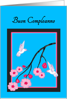 Italian Birthday White Hummingbirds on Cherry Blossoms card