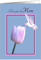 Mom Mother’s Day Beautiful White Hummingbird on Tulip card