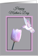 Mother’s Day Beautiful White Hummingbird on Tulip card