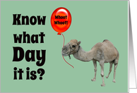 Hump Day Funny Camel with Big Red Balloon card