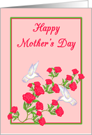Mother’s Day From Both White Hummingbirds and Pink Roses card