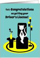 Congratulations Driver’s License Funny Stylistic Texting Cat card