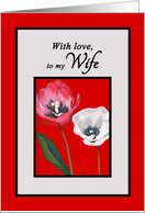 Get Well Cancer Patient For Wife Handpainted Tulips Print card