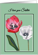 Get Well Cancer Patient For Sister Handpainted Tulips Print card