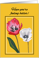 Congratulations Cancer Patient Handpainted Tulips Side by Side Print card