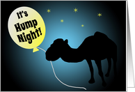 Hump Day Silhouetted Camel Under Starry Night Sky card