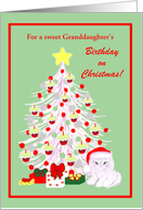 Custom Granddaughter Birthday on Christmas White Cat in Santa Hat card