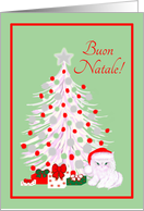 Italian Christmas White Cat in Santa Hat with Tree card