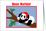 Italian Christmas Panda Bear in Santa Hat with Wine card
