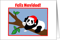 Spanish Christmas Panda Bear in Santa Hat with Wine card