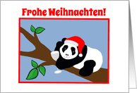 German Christmas Panda Bear in Santa Hat with Wine card