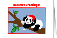 Christmas Season’s Greetings Panda Bear in Santa Hat with Wine card