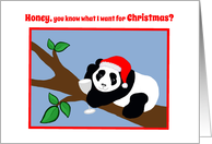 Christmas for Girlfriend Humor Panda Bear in Santa Hat with Wine card