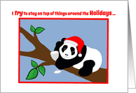 Christmas Humor Panda Bear in Santa Hat with Wine card