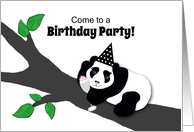 Invitation Birthday Panda Bear w Champagne Toast in Tree card