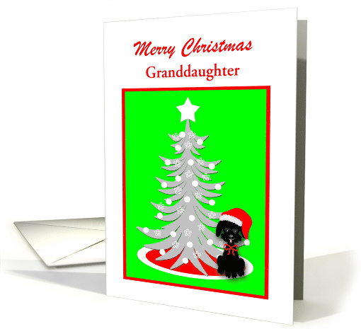 Custom Christmas Black Toy Poodle Dog in Red Santa Hat card (1399086)