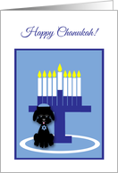 Chanukah Black Toy...