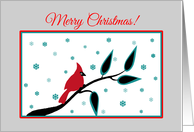 Merry Christmas Red Cardinal Bird on Branch with Snowflakes card