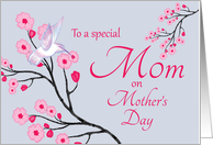 Mom Mother’s Day from Daughter Cherry Blossoms and Hummingbird card