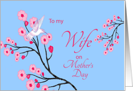 Wife Mother’s Day Cherry Blossoms and Hummingbird card