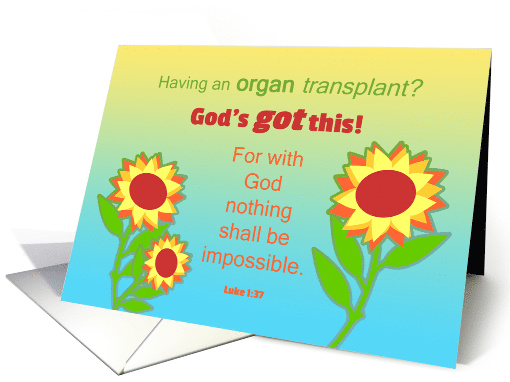 Get Well Feel Better Organ Transplant Surgery Sunflowers... (1542160)