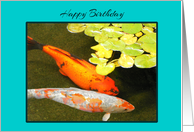 Son in Law Birthday Beautiful Colourful Koii Fish card