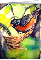 Blank-Bird in Nest-Robin card