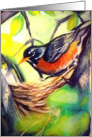 Blank-Bird in Nest-Robin card